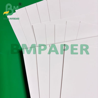 Papier synthétique en PET imperméable à l'eau pour étiquette de vêtements