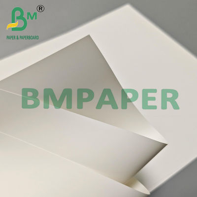 Fiche de papier synthétique en PET écologique de 100 mm pour la publicité en extérieur