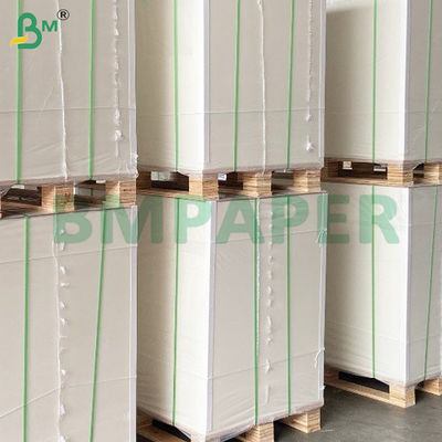 80 gm 44 cm largeur Papier sans carbone NCR écologique en rouleaux