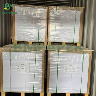 230g - 300g de rouleaux de revêtement de plateau en PET de qualité alimentaire pour fours à haute température