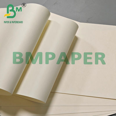 190g 210g 230g Papier à tasse jetable de qualité alimentaire Matériau de base pour le thé Le lait Le café