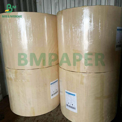 250g 300g Papeterie sans plastique aqueux Gobelets et bols Papeterie à base de 100% de fibre de bambou