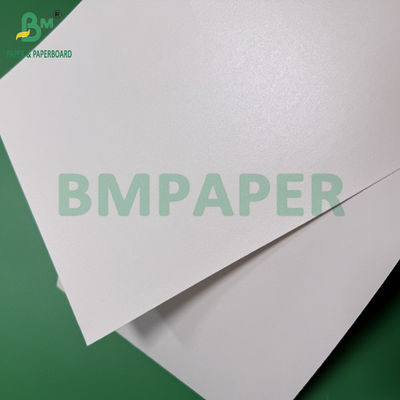 260g 280g + 10g Papier recouvert aqueux biodégradable sans plastique pour tasses et bols