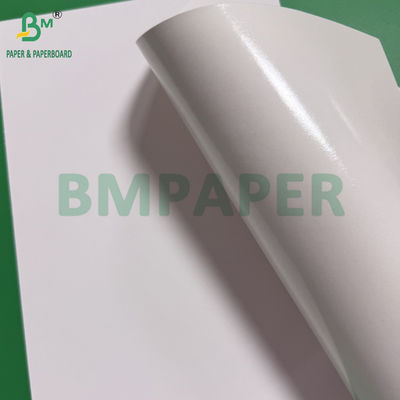 Papier alimentaire surgelé 275 gm Carton blanc avec 15 g de revêtement PE brillant résistant à l'humidité
