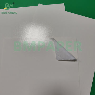300+15 gm Pe recouvert brillant en carton blanc de qualité alimentaire Emballage Produits surgelés