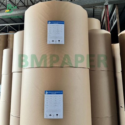 Papyrus thermique de 48 gm 55 gm 65 gm pour caisse