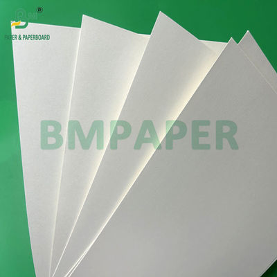 240g +15PE revêtu de papier de tasse pour tasses à boire 31 x 43 pouces 100% étanche