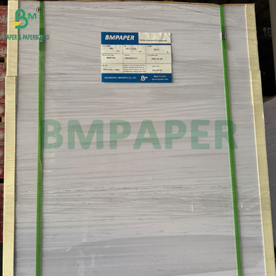 240g +15PE revêtu de papier de tasse pour tasses à boire 31 x 43 pouces 100% étanche
