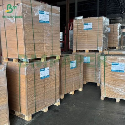 50 g 55 g de papier translucide de traçage