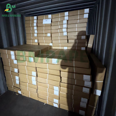 80 gr de papier à large format PLOTTER ROLLO BOND Pour le dessin CAO 0,61 x 50 MT