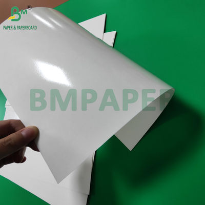 300 g de plateau de papier laminé en PET de qualité alimentaire en rouleaux de papier 635 mm à haute température