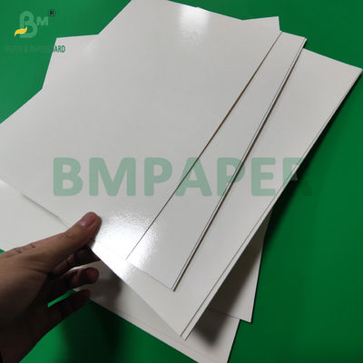 300 g de plateau de papier laminé en PET de qualité alimentaire en rouleaux de papier 635 mm à haute température
