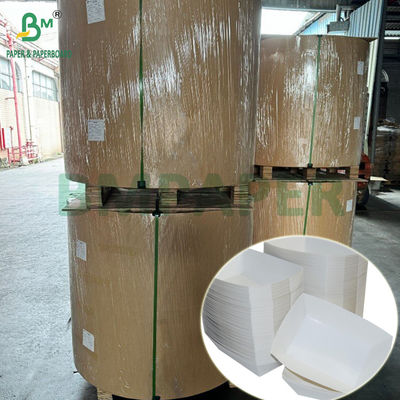 300 g de plateau de papier laminé en PET de qualité alimentaire en rouleaux de papier 635 mm à haute température