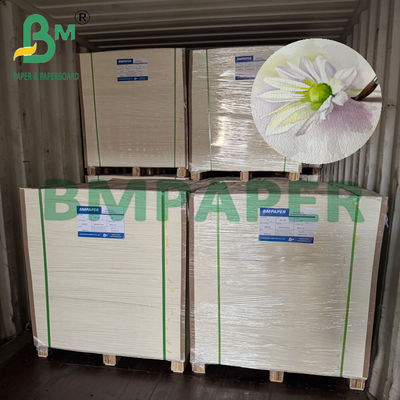 200/230/300gr Papier naturel blanc à l'eau pour l'impression d'art A4 A3