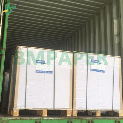 40g 45g papier blanc Pelleaglio pour les plateaux de cuisson