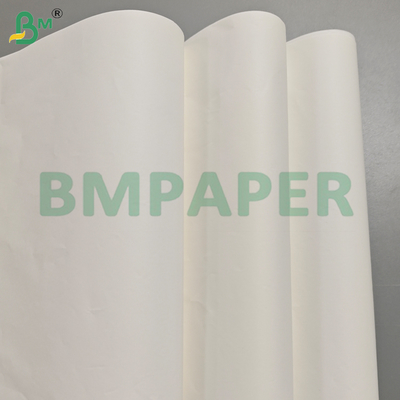Feuilles de papier intercalaire anti-moisissure avec revêtement en verre de 40GSM
