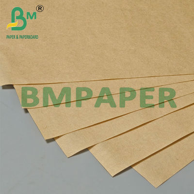 21 - 28gsm 440mm Rouleau de papier filtre à café brun compostable, sûr pour les aliments