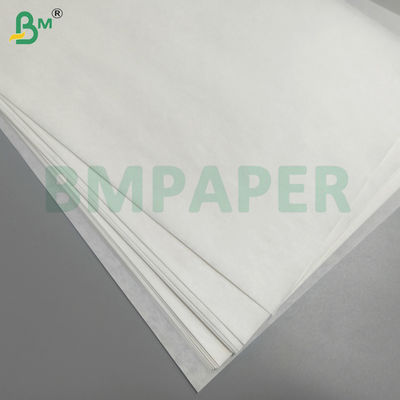 Sacs de protection pour fruits et légumes papier imperméable à l'eau loin des ravageurs et des oiseaux