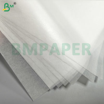 Sacs de protection pour fruits et légumes papier imperméable à l'eau loin des ravageurs et des oiseaux