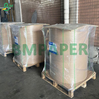 Sacs de protection pour fruits et légumes papier imperméable à l'eau loin des ravageurs et des oiseaux