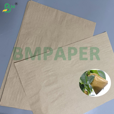 55 g 80 g papier à charbon brun pour emballage de fruits UV et protection contre les ravageurs pour les pêches/poires