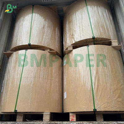 50gsm Bleached Porous Filter Paper For Electric Drip Coffee Makers