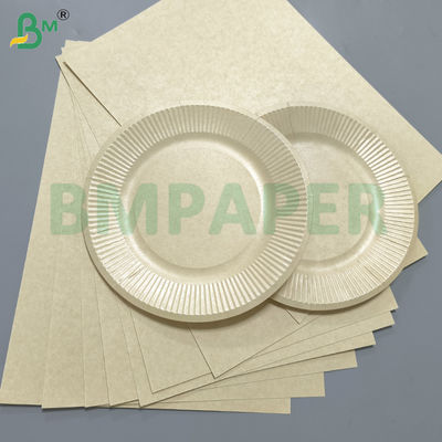 Grease Resistant Paper Plate Paper Material PET Coating Soak Proof
