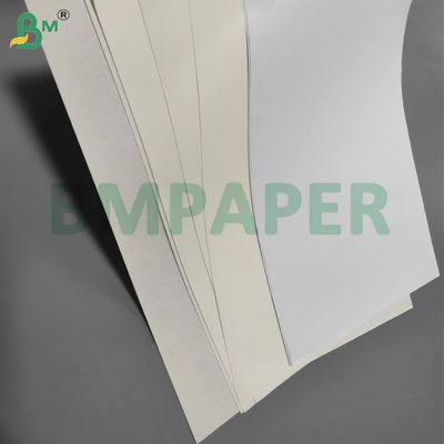Papier bouffant ivoire non couché de 65 g/m² et 75 g/m² pour brochure 70 x 100 cm