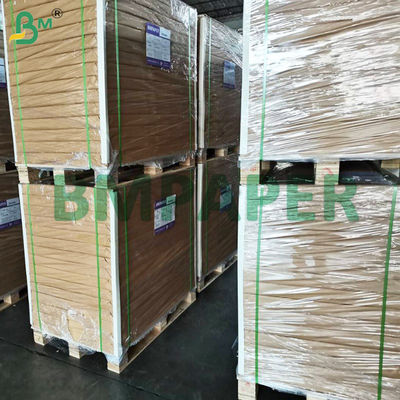 Papier pour moule à cupcakes pour la cuisson, sans odeur, résistant à la graisse - Papier pour moule à muffins