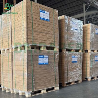 12pt 14pt 16pt 18pt 24pt Carton de papier blanc C1S à fort volume pour congélation