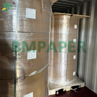 Papier spécialisé pour les plats et les bols alimentaires, revêtu de PET