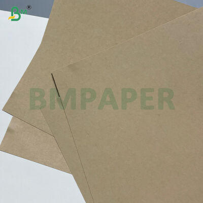 Papier cartonné pour gobelets 260GSM+ 18GSM FDA dégradable en bambou kraft avec revêtement PE / PLA