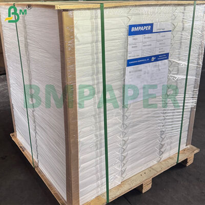 Papier aquarelle 100% coton, grain torchon, pour artistes, 300 g/m², format 70 cm x 50 cm