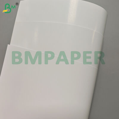 210 gm Deux côtés brillants C2S Art Printing Paper Rolls 31*43 pouces