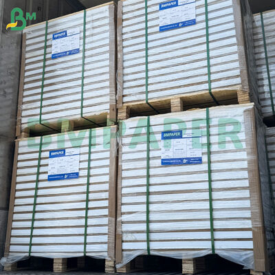 210 gm Deux côtés brillants C2S Art Printing Paper Rolls 31*43 pouces