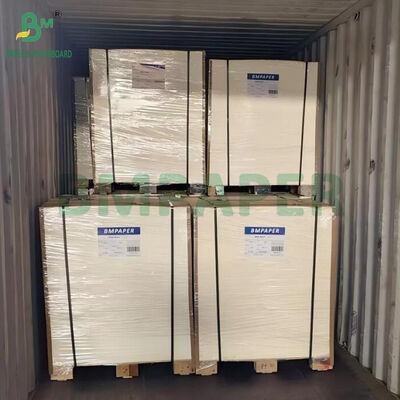 Carton absorbant non couché de 600um, 700um, 800um pour la fabrication de sous-verres à bière