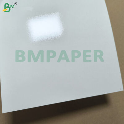 Papier blanc revêtu de PET pour les assiettes et les plats résistant à la chaleur