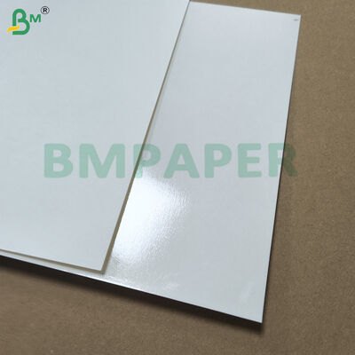 Papier blanc revêtu de PET pour les assiettes et les plats résistant à la chaleur