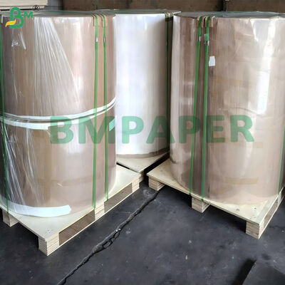 Papier blanc revêtu de PET pour les assiettes et les plats résistant à la chaleur