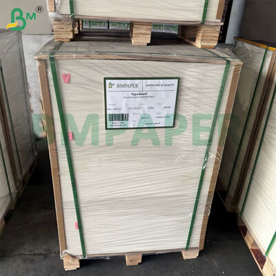 300gsm Unbleached Sugarcane Bagasse Pulp Paper Sheet Biodegradable Certified 787mm X 1092mm