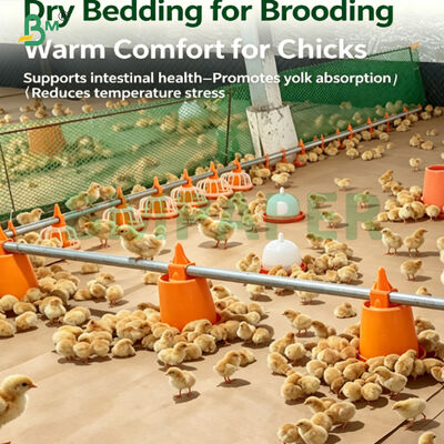 Papier de literie de volaille biodégradable résistant à l'humidité pour poussin