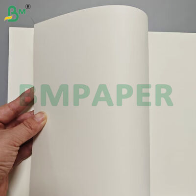 Produits alimentaires contenant des feuilles de papier de 190 gm + revêtement PE