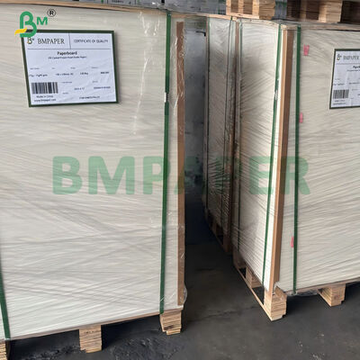 180 ∼ 350 gm Papier revêtu en PE imperméable pour bocal à nouilles instantanées jetables