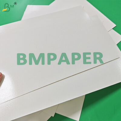 300 gm + 15 g de papier de boîte de déjeuner en PE recouvert de papier blanc pour l'emballage de la restauration rapide 400 x 500 mm