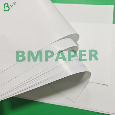 Papier glacé C1S 80 g/m² pour enveloppes extérieures de sachets de thé 700 x 1000 mm haute blancheur