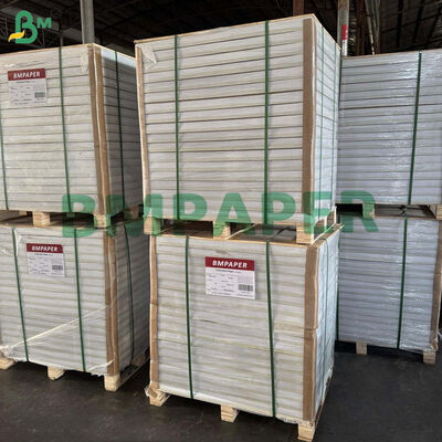 Papier glacé C1S 80 g/m² pour enveloppes extérieures de sachets de thé 700 x 1000 mm haute blancheur