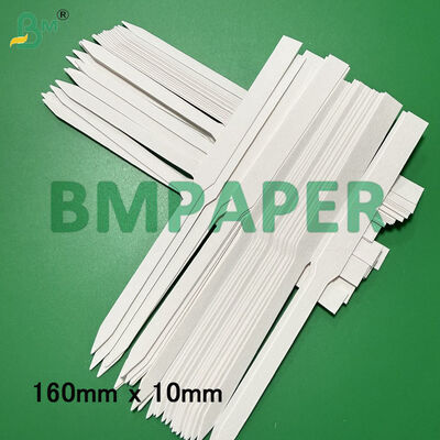 Bandes de papier test parfum blanc, carton absorbant 160 mm x 10 mm 170 mm x 9 mm