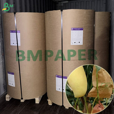 Papier d'emballage de protection des fruits double couche imperméable 56gsm pour mangue 450mm